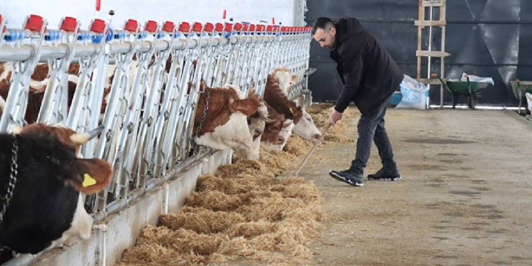 10 dönüm üzerine 15 milyonluk yatırımla işletmesini kurdu! 32 yaşında gelen başarı: Gelenekselden modern üretime geçti 3
